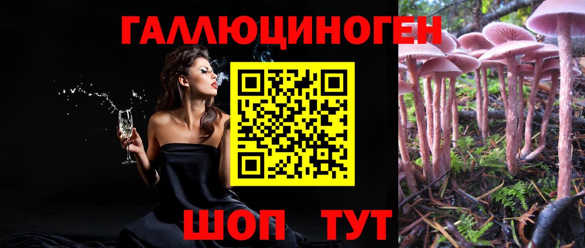 Галлюциногенные грибы Psilocybe  Вход с VPN  Кудрово 