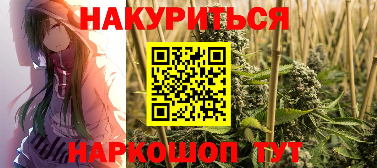 Бошки марихуана Amnesia  Вход с VPN  Кудрово  Конопля сатива 